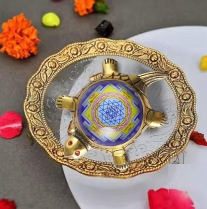 Dhan Laxmi Tortoise (Only Kachua) for Good Luck