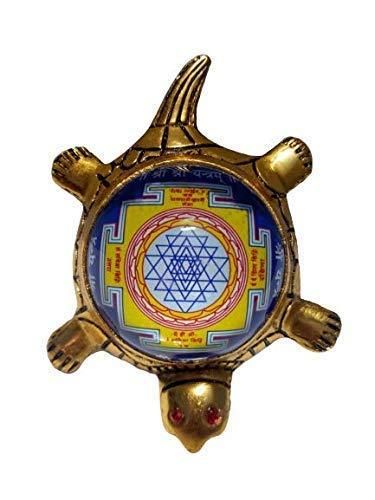Dhan Laxmi Tortoise (Only Kachua) for Good Luck