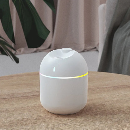 270ML Cool Mist Aroma Humidifier with LED Night Light